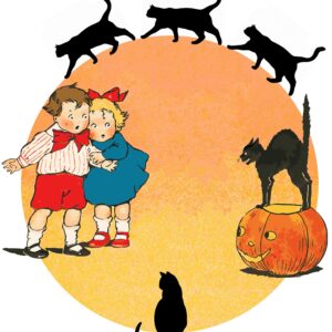 Black Cat, Scaredy Cats