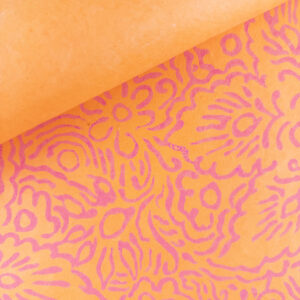 Orange and Pink Flower