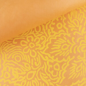 Orange and Yellow Flower