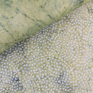 Crows' Feet on Cactus Green