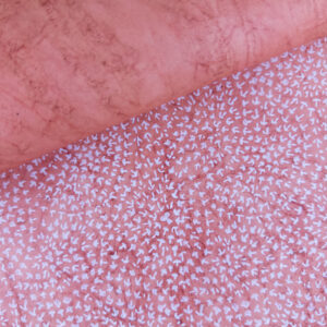 Crows' Feet on Red Batik