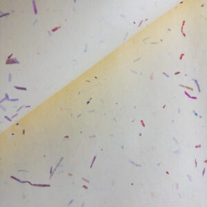 Ivory with Red Strips