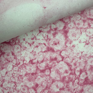 Fuchsia Pulp Painting