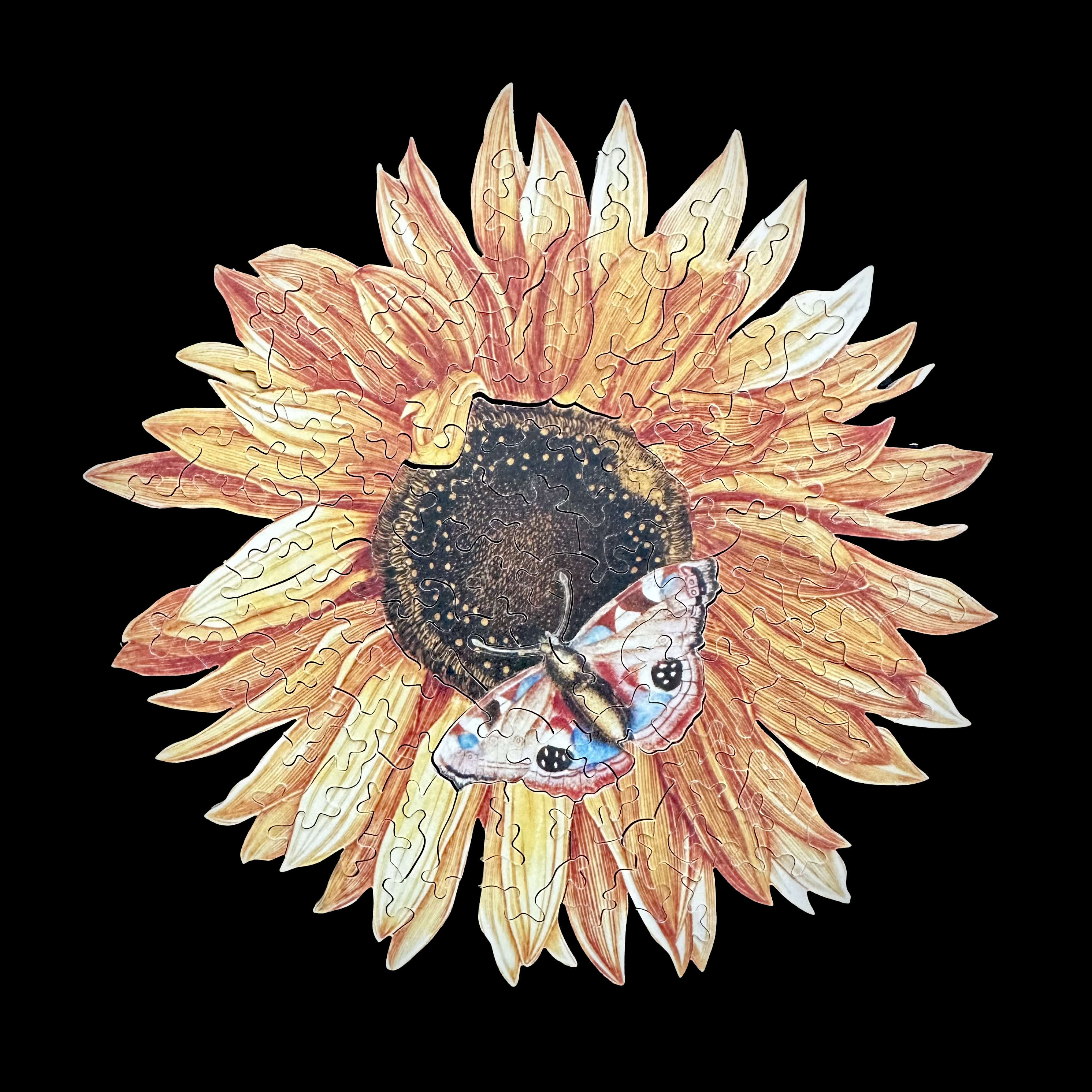 Sunflower with butterfly