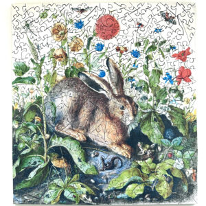 Hare Among the Plants