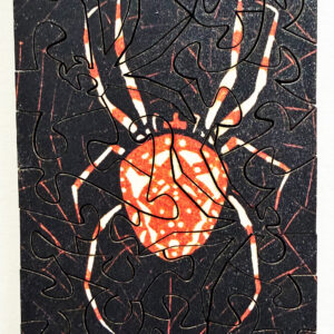 Spider Pocket Puzzle